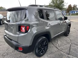 
										2019 JEEP RENEGADE 4X4 full									