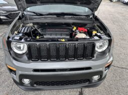 
										2019 JEEP RENEGADE 4X4 full									